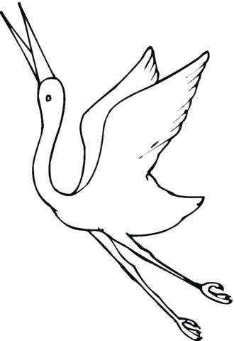 Crane Fly Coloring Page